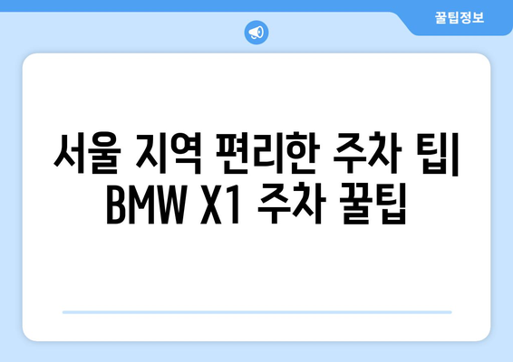 BMW X1 하이패스 & 보조배터리 전문점| 서울 지역 추천 매장 5곳 | 하이패스 설치, 보조배터리 교체, 편리한 주차 팁