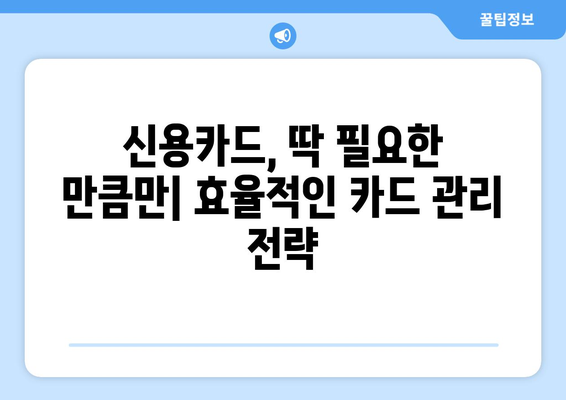 너무 많은 신용카드, 위험한 당신의 선택 | 신용카드 과다 소지의 위험성, 관리 팁, 해결책