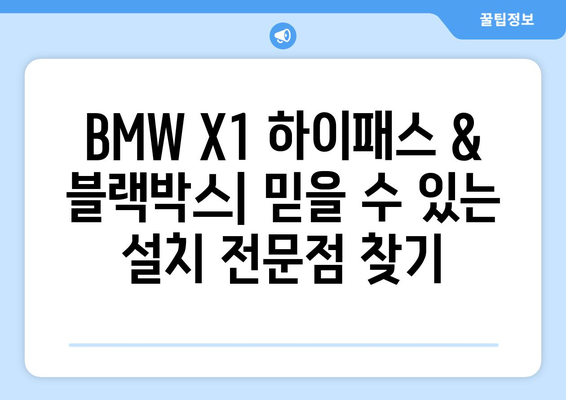 BMW X1 하이패스 & 블랙박스 설치 전문점| 믿을 수 있는 곳 찾기 | 서울, 경기, 부산, 대구, 인천, 광주, 대전, 울산, 전문가 추천, 비용, 후기