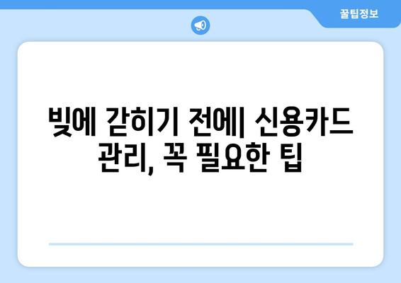 너무 많은 신용카드, 위험한 당신의 선택 | 신용카드 과다 소지의 위험성, 관리 팁, 해결책