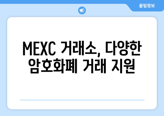 MEXC 거래소 신규 가입 혜택 & 이점 총정리 | 가입 방법, 수수료 할인, 에어드랍