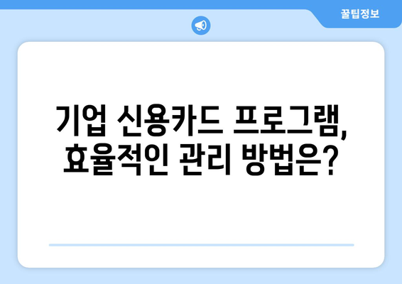 기업 신용카드 추천 프로그램, 어떻게 찾아야 할까요? | 비교분석, 추천 기준, 성공 전략