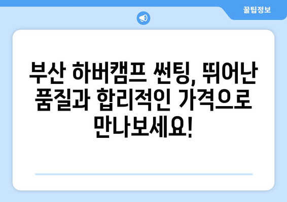 부산 하버캠프 썬팅| 뛰어난 품질과 합리적인 가격으로 차량을 보호하세요! | 자동차 썬팅, 부산 썬팅, 하버캠프, 틴팅, 가격 비교