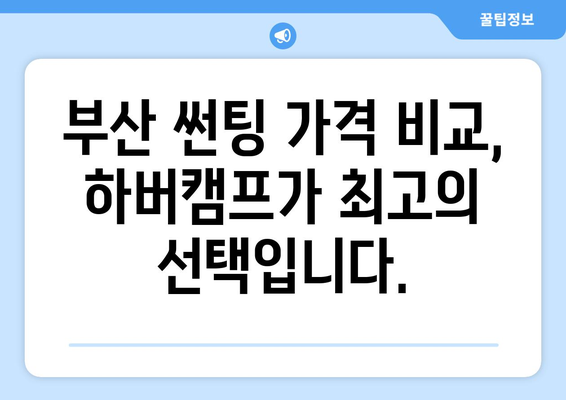 부산 하버캠프 썬팅| 뛰어난 품질과 합리적인 가격으로 차량을 보호하세요! | 자동차 썬팅, 부산 썬팅, 하버캠프, 틴팅, 가격 비교