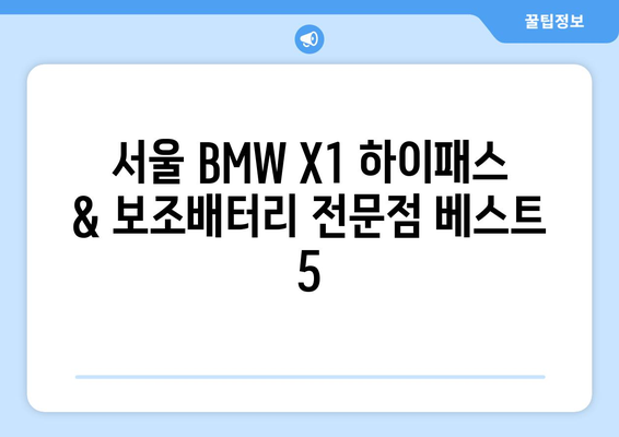 BMW X1 하이패스 & 보조배터리 전문점| 서울 지역 추천 매장 5곳 | 하이패스 설치, 보조배터리 교체, 편리한 주차 팁