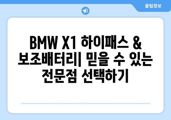 BMW X1 하이패스 & 보조배터리 전문점| 서울 지역 추천 매장 5곳 | 하이패스 설치, 보조배터리 교체, 편리한 주차 팁